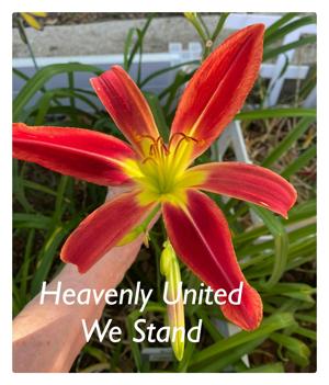 Heavenly United We Stand