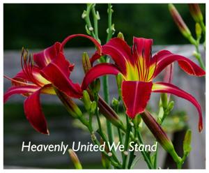 Heavenly United We Stand