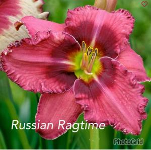 Russian Ragtime